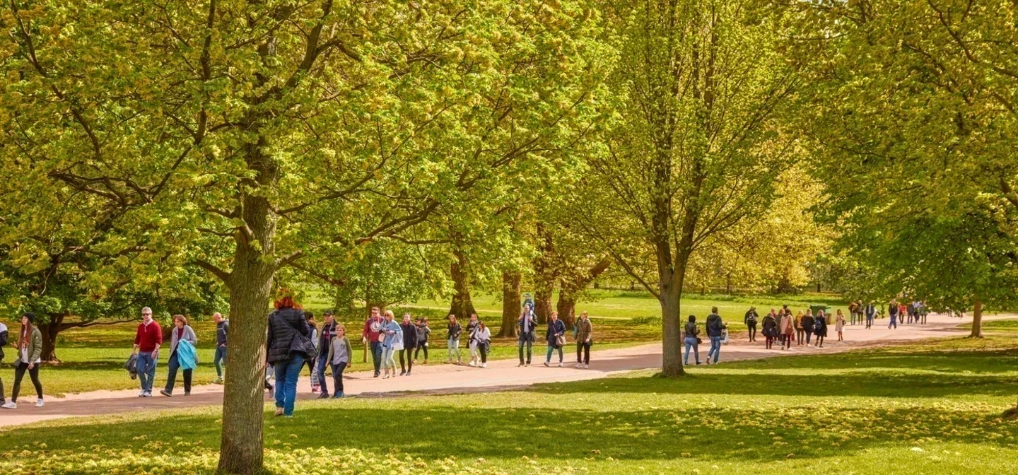 Summer view through trees in Green Park, London